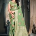 Banarasi Nylon Silk Saree Light Green SIMR3006
