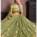 Banarasi Nylon Silk Saree Light Green SANVK32003