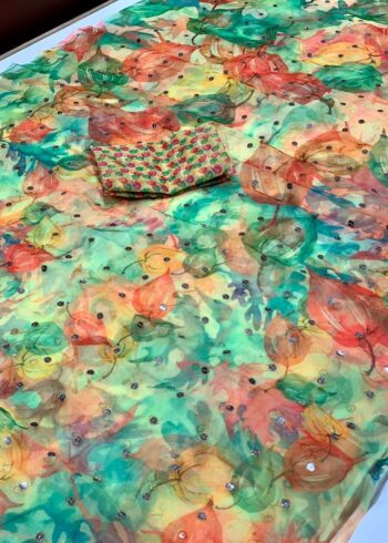 organza saree