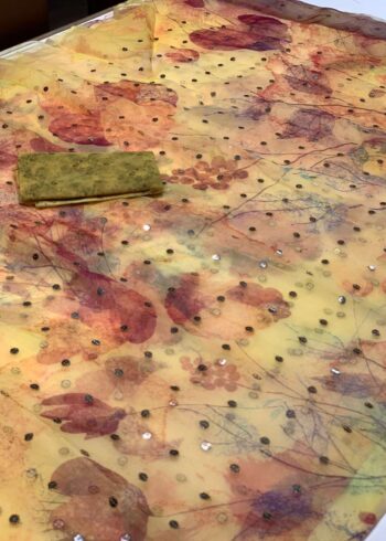 organza saree