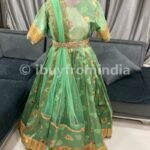 Silk Gown Long Gown Pattu Gown Light Green DVL-LG503