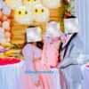family matching dress set